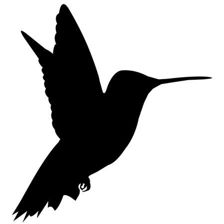 Hummingbird symbol