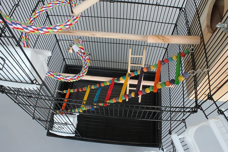 Bird Cage accessories