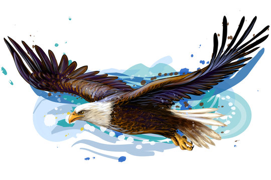 Eagle spiritual meanings