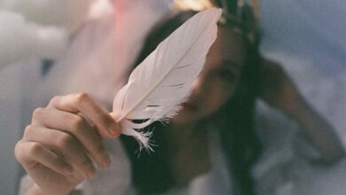 Birds of a Feather Meaning and Feather Symbolism