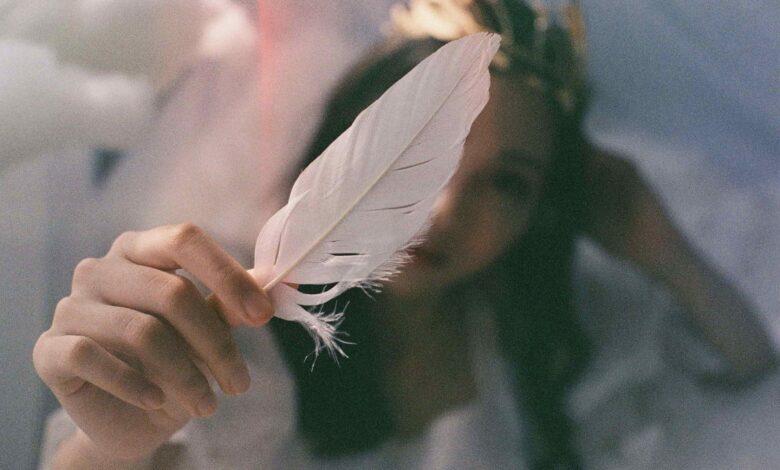 Birds of a Feather Meaning and Feather Symbolism