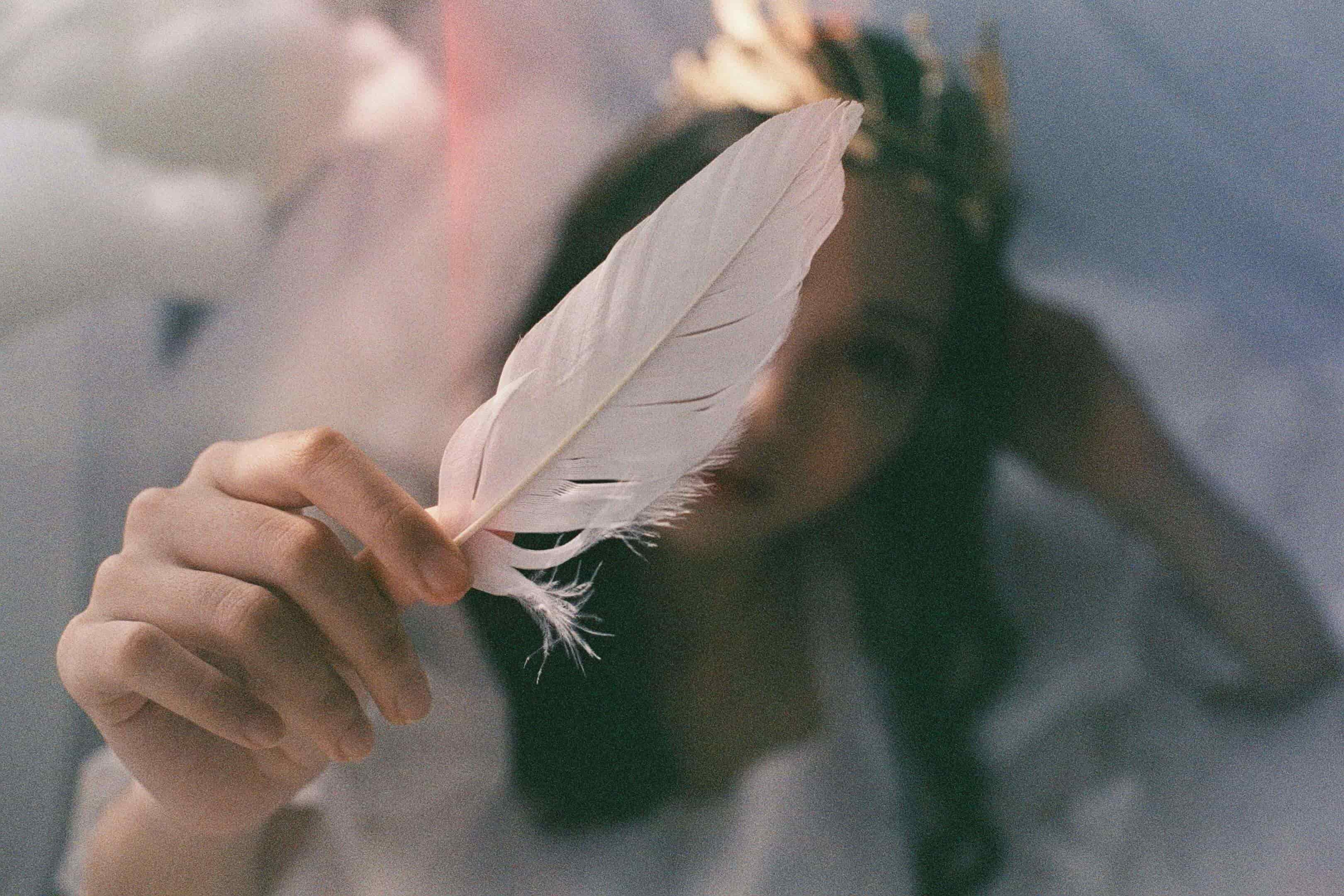Birds of a Feather Meaning and Feather Symbolism